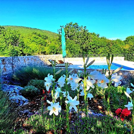 Relaxing Dalmatian House In Village Ljubitovica Exterior foto