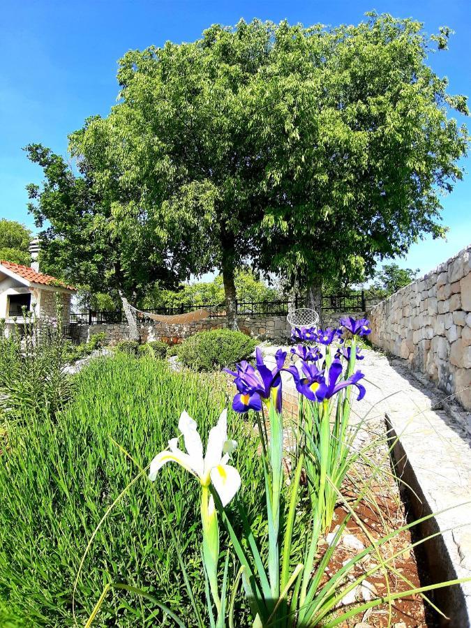 Relaxing Dalmatian House In Village Ljubitovica Exterior foto